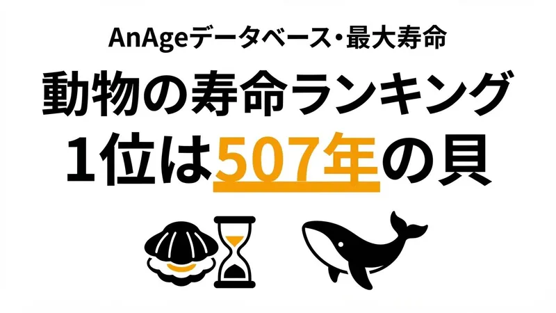 動物の寿命ランキング｜1位は507年の貝、哺乳類トップは211年のクジラ