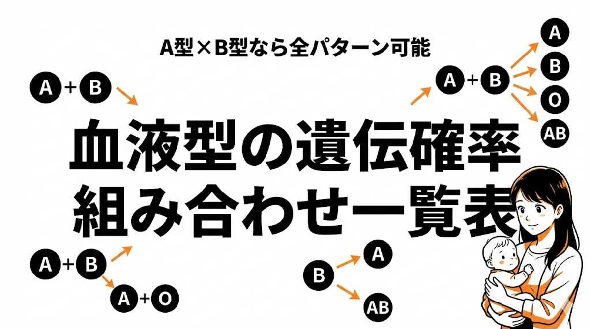 両親の血液型から子どもの血液型を計算！組み合わせ確率一覧表