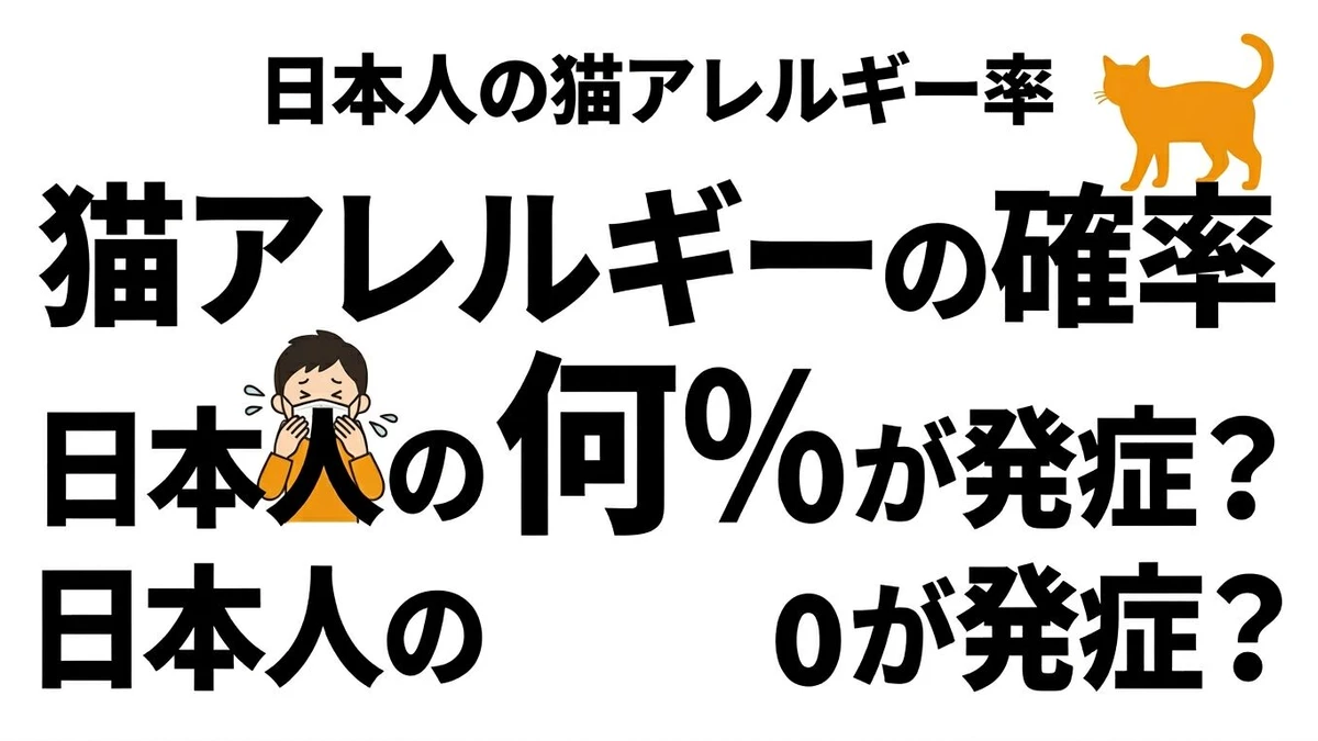 日本で猫アレルギーの人はどれくらい？確率と現実的な対策を整理