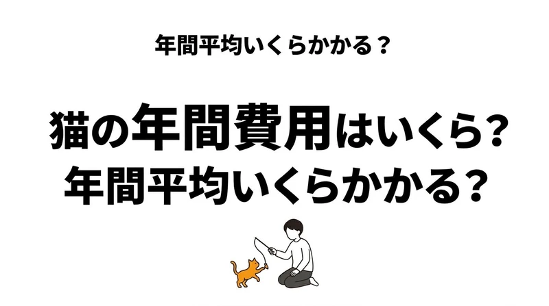 猫1匹の年間費用はいくら？毎月の維持費と医療費リスクまで整理