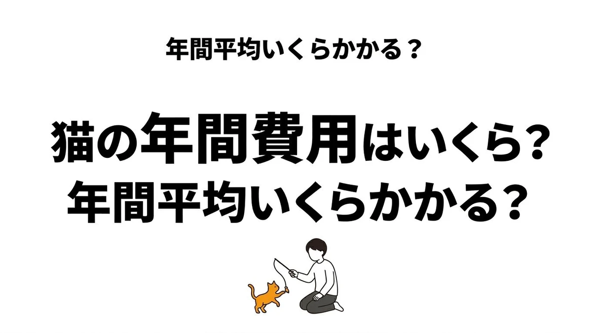 猫1匹の年間費用はいくら？毎月の維持費と医療費リスクまで整理