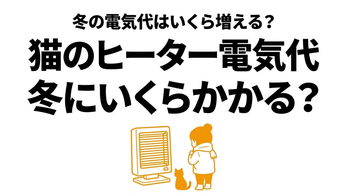 猫の冬の暖房は電気代がどれくらい増える？器具別の考え方を整理