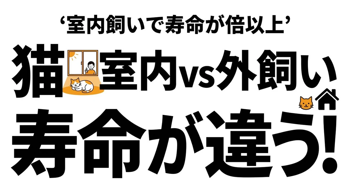【結論】猫を室内飼い・外飼いにする寿命の違い！確率とデータで徹底解説