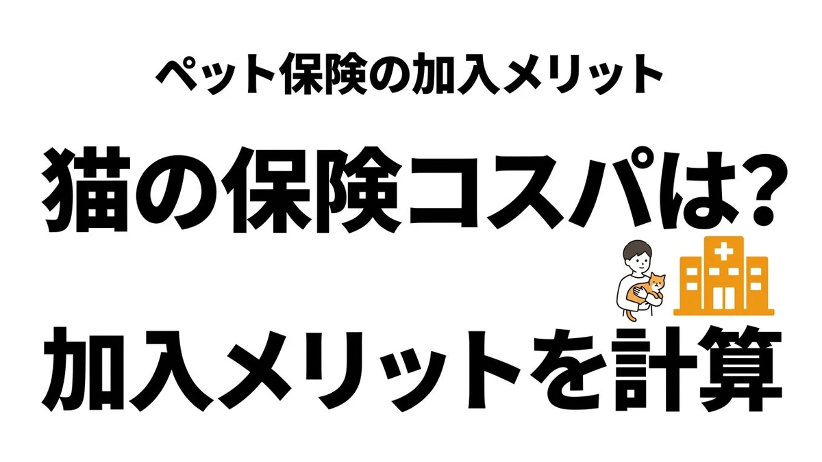 猫のペット保険はコスパがいい？入る人と入らない人の分かれ目を整理