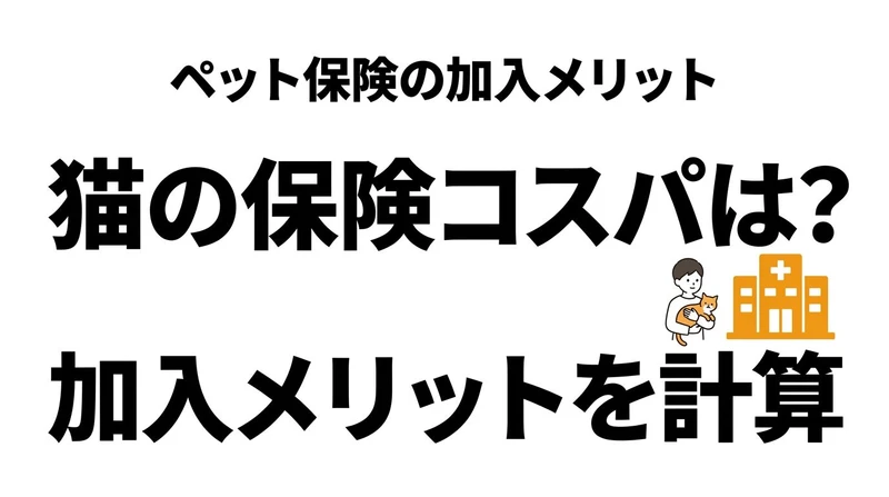 猫のペット保険はコスパがいい？入る人と入らない人の分かれ目を整理