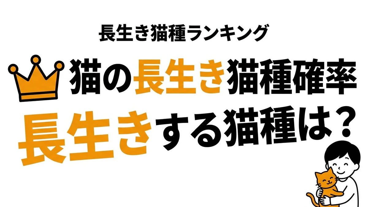 猫が15歳以上生きる確率は高い？長生きしやすい条件と猫種の傾向を整理