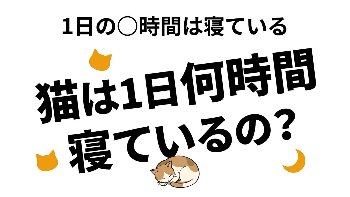 猫は1日何時間寝る？夜行性ではない理由と睡眠データの見方