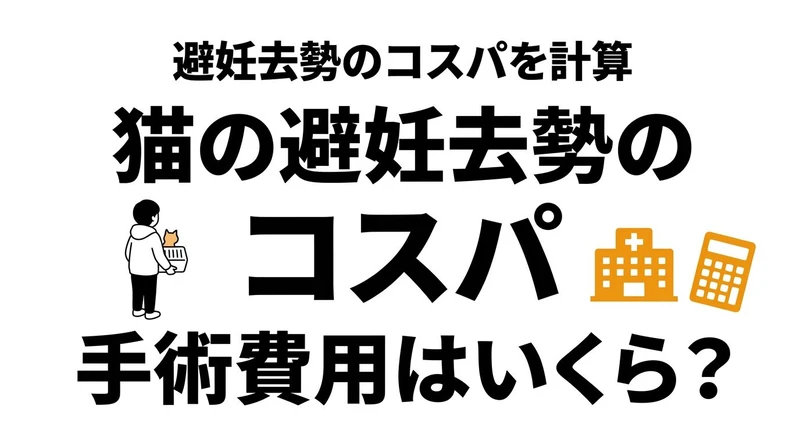 猫の去勢・避妊手術はコスパがいい？費用と予防効果を現実的に整理