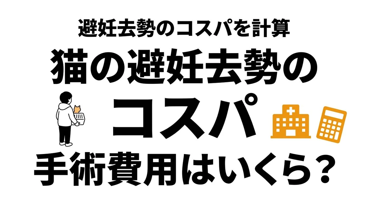 猫の去勢・避妊手術はコスパがいい？費用と予防効果を現実的に整理