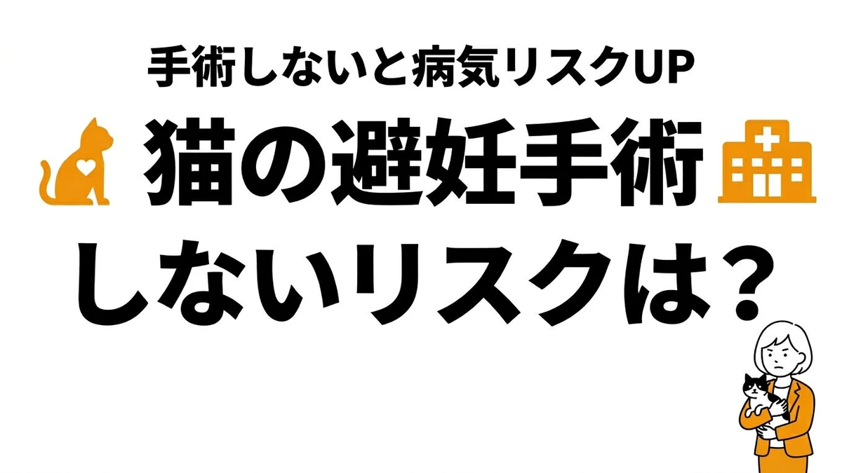 猫の避妊手術をしないリスクとは？病気の確率と費用を比較