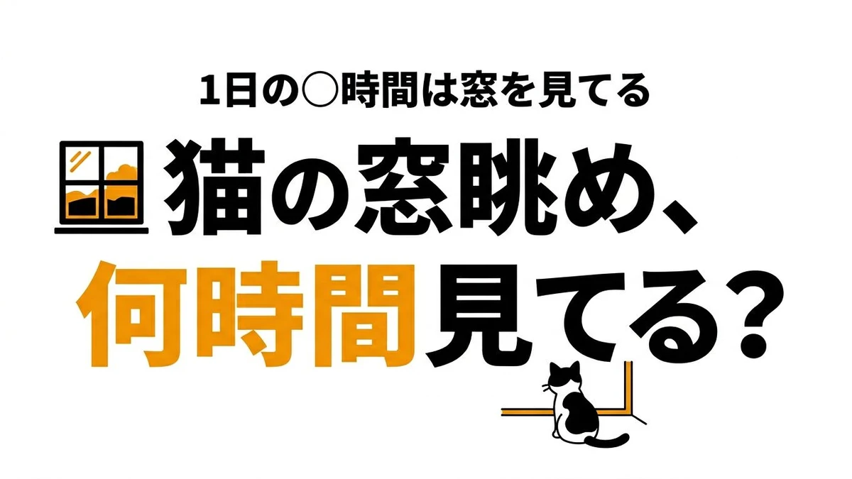 猫は窓の外を何時間見る？ニャルソックの意味と環境づくり