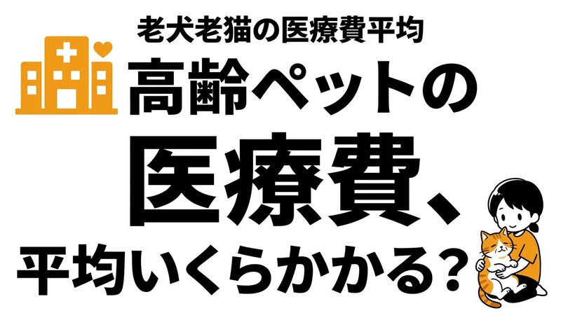 高齢の猫や犬の医療費はいくらかかる？老後に増えやすい負担を整理