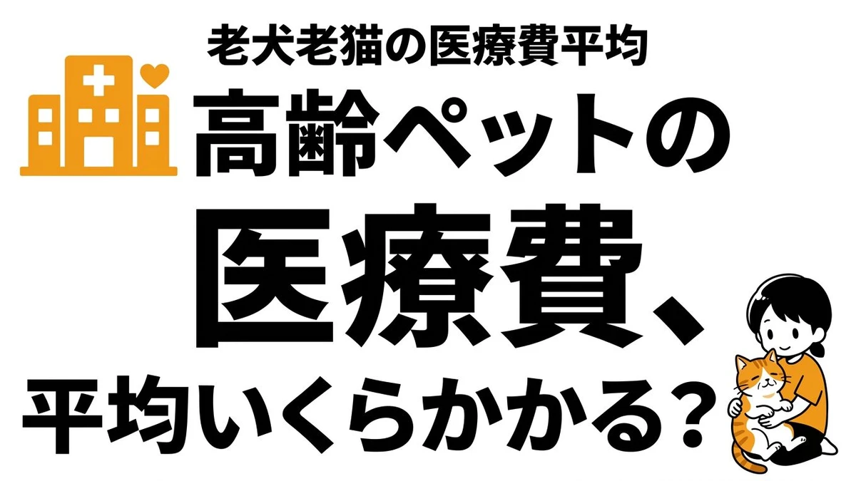高齢の猫や犬の医療費はいくらかかる？老後に増えやすい負担を整理