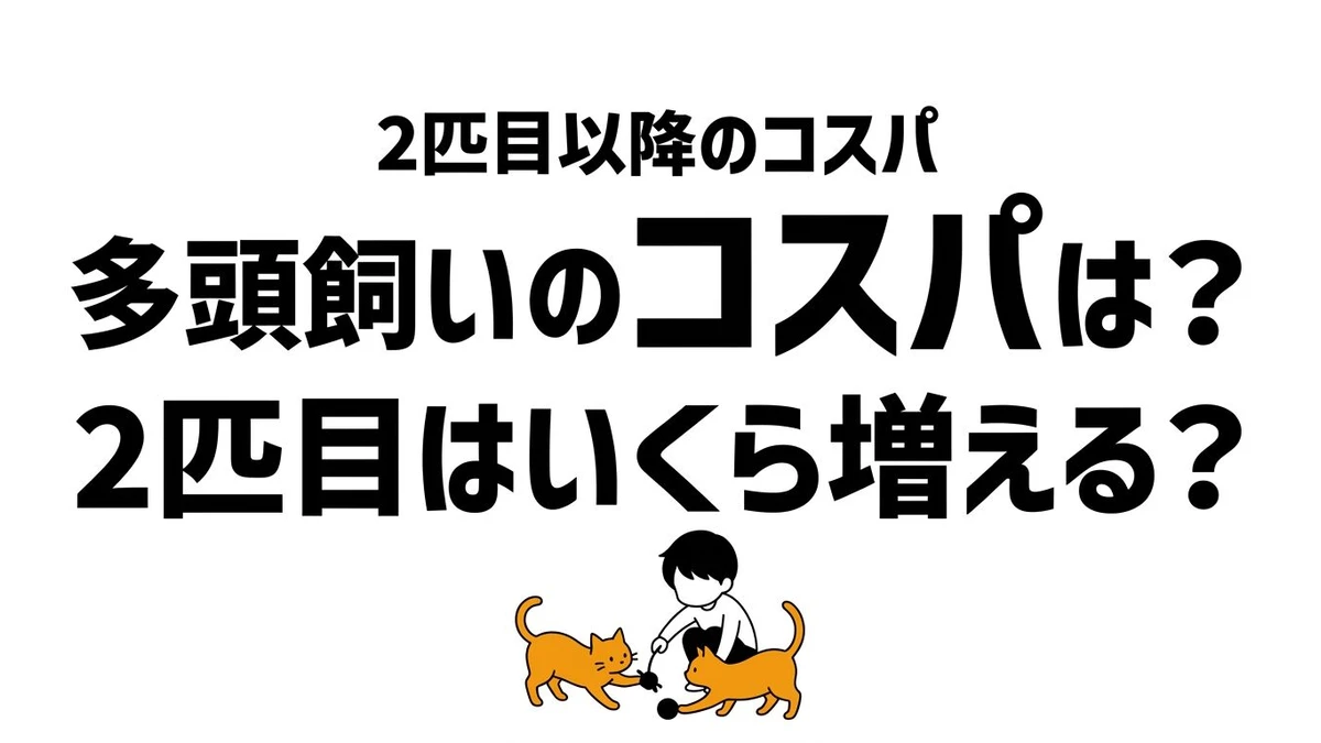 猫の多頭飼いはコスパがいい？2匹目で増える費用と崩れやすい条件を整理