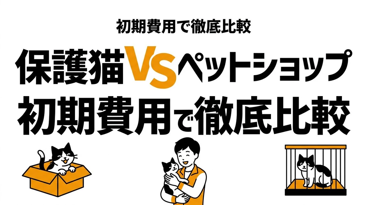 保護猫とペットショップはどっちがコスパいい？迎え方の違いを整理