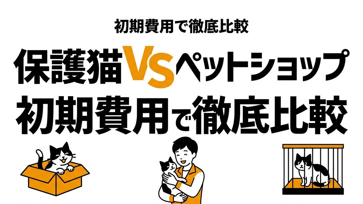 保護猫とペットショップはどっちがコスパいい？迎え方の違いを整理