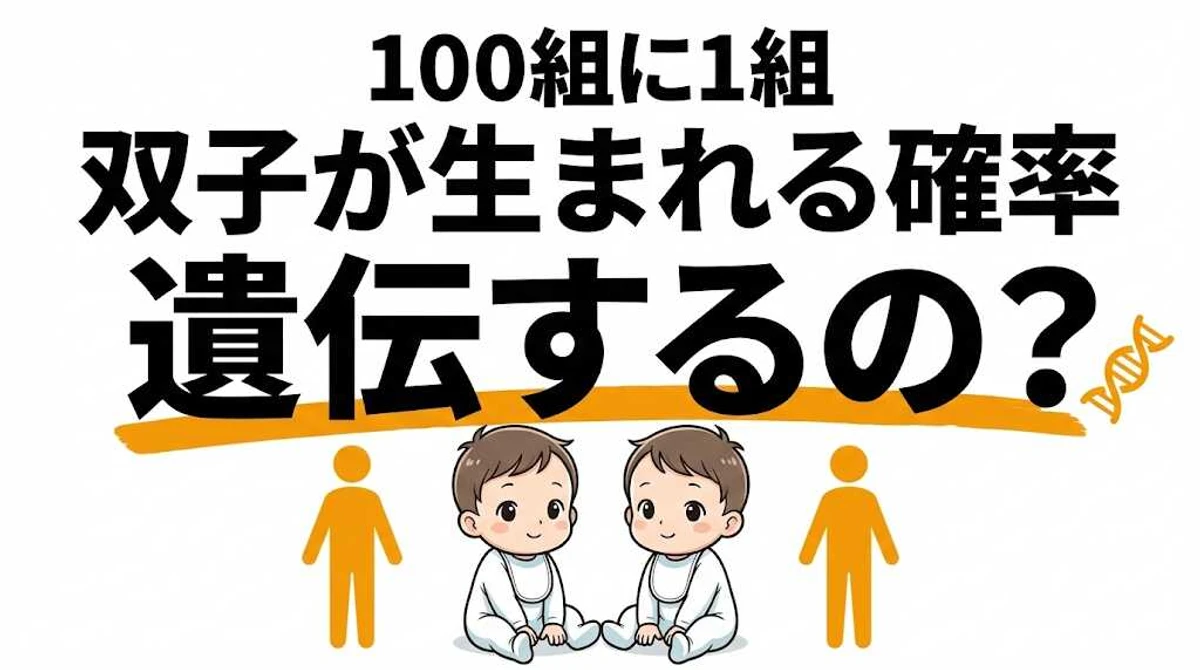 双子が生まれる確率は1%！遺伝する？一卵性・二卵性の違いを解説
