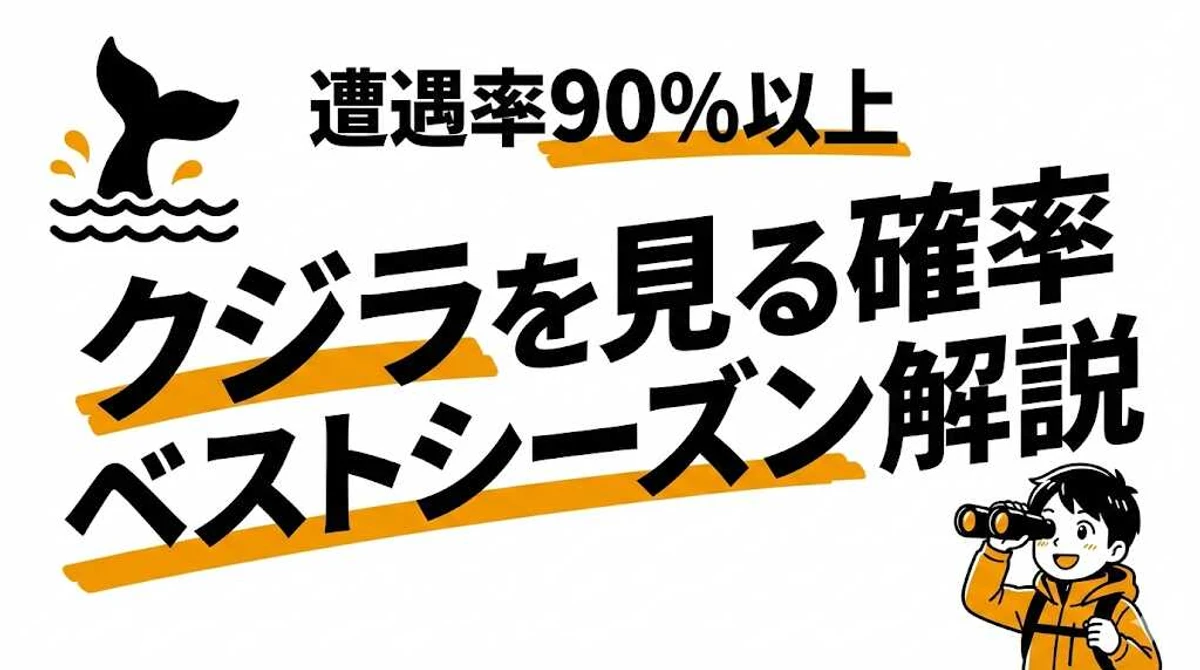 ホエールウォッチングでクジラを見られる確率は約90%！季節・場所別の遭遇率を徹底解説
