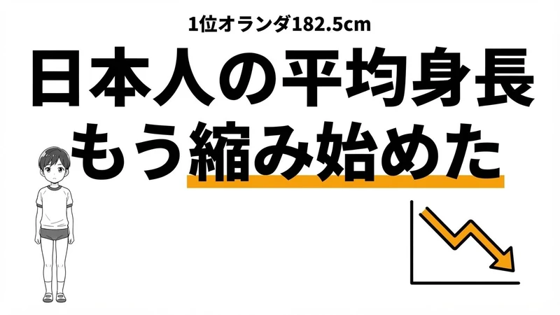 【2026年】世界の平均身長ランキング｜日本は伸びが止まり縮み始めた